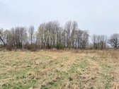 Parduodamas 140 a namų valdos sklypas - nuotraukos Nr. 6