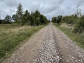 Parduodamas 4,58 ha žemės ūkio paskirties - nuotraukos Nr. 4