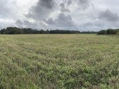 Parduodamas 4,58 ha žemės ūkio paskirties - nuotraukos Nr. 6