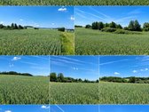 25,9855 Ha Žemės Ir Sodyba Už 140 000 €– - nuotraukos Nr. 12