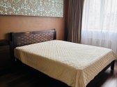 Jaukus butas Žygio g. su garažu ir terasa - nuotraukos Nr. 3