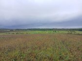 Sklypas Su Panorama Tvenkinių Bei Ežerų - nuotraukos Nr. 4
