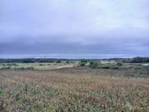 Sklypas Su Panorama Tvenkinių Bei Ežerų - nuotraukos Nr. 5