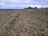 Sklypas Su Panorama Tvenkinių Bei Ežerų - nuotraukos Nr. 7