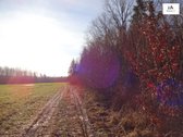 Parduodamas 2,66ha žemės ūkio paskirties - nuotraukos Nr. 2