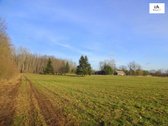 Parduodamas 2,66ha žemės ūkio paskirties - nuotraukos Nr. 3