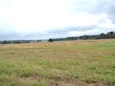 Parduodamas 2,66ha žemės ūkio paskirties - nuotraukos Nr. 10