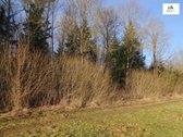 Parduodamas 2,66ha žemės ūkio paskirties - nuotraukos Nr. 13