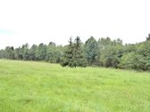 Parduodamas 2,66ha žemės ūkio paskirties - nuotraukos Nr. 20