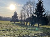 Parduodamas 2,66ha žemės ūkio paskirties - nuotraukos Nr. 6