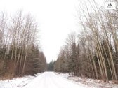 Parduodamas 2,66ha žemės ūkio paskirties - nuotraukos Nr. 30