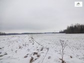 Parduodamas 2,66ha žemės ūkio paskirties - nuotraukos Nr. 29