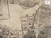 Parduodamas 2,66ha žemės ūkio paskirties - nuotraukos Nr. 12