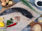Tik 9 km nuo Prienų parduodamos patalpos su - nuotraukos Nr. 16