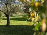 Dusmenėliai  Kai Penktadienis Turi Kryptį - nuotraukos Nr. 7