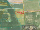 Parduodamas 1,2 Ha Sklypas Kirkūnų K., - nuotraukos Nr. 2