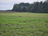 Parduodamas 1,00 hektaro žemės ūkio - nuotraukos Nr. 6
