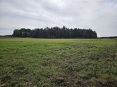 Parduodamas 1,00 hektaro žemės ūkio - nuotraukos Nr. 7