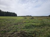 Parduodamas 1,00 hektaro žemės ūkio - nuotraukos Nr. 8