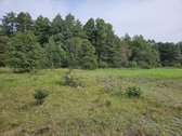 Parduodamas 1,00 hektaro žemės ūkio - nuotraukos Nr. 10