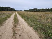 Parduodamas 1,00 hektaro žemės ūkio - nuotraukos Nr. 11