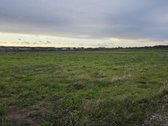 Parduodamas taisyklingos formos sklypas - nuotraukos Nr. 5