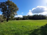 Išskirtinė Sodyba-vienamekis – Virš 7 Ha - nuotraukos Nr. 18