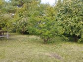 Skubiai parduodama gyvenama rąstinė sodyba su - nuotraukos Nr. 20