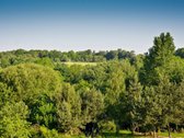 Prie "Veršvų" draustinio, išnuomuojamas 3 - nuotraukos Nr. 29