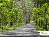 Klasikinio stiliaus namas Laurų kvartale su - nuotraukos Nr. 33