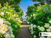 Keturių kambarių butas renovuotame name - nuotraukos Nr. 17