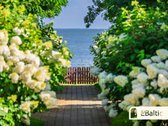 Keturių kambarių butas renovuotame name - nuotraukos Nr. 18