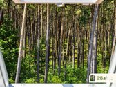Keturių kambarių butas renovuotame name - nuotraukos Nr. 31