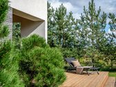 Šviesus Vieno Aukšto Namas Pušų Apsuptyje – - nuotraukos Nr. 47
