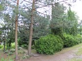Parduodamas erdvus dviejų aukštų namas - nuotraukos Nr. 12
