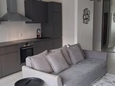 Nuomojamas Jaukus 2 Kambarių Butas Šiaurės - nuotraukos Nr. 4
