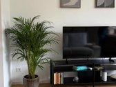 Parduodamas Veikiantis Investicinis Objektas - nuotraukos Nr. 6