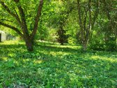 Parduodamas 2 aukštų sodo namelis su 9,57 arų - nuotraukos Nr. 2
