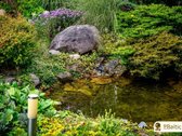 Parduodamas išskirtinai jaukus, saulėtas ir - nuotraukos Nr. 14
