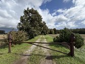 Išskirtinė Sodyba Prie Pat Miško – Privati - nuotraukos Nr. 2