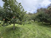 Išskirtinė Sodyba Prie Pat Miško – Privati - nuotraukos Nr. 33