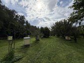 Išskirtinė Sodyba Prie Pat Miško – Privati - nuotraukos Nr. 34