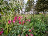 Parduodamas jaukus 3 kambarių butas - nuotraukos Nr. 27