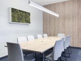 Nuomojamos 150 m² komercinės patalpos vienoje - nuotraukos Nr. 9