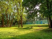 Erdvus 3 Kambarių Butas Jeruzalėje – Kai Gera - nuotraukos Nr. 21