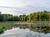 Erdvus 3 Kambarių Butas Jeruzalėje – Kai Gera - nuotraukos Nr. 26