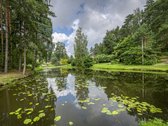 Parduodamas sodo namas Drąseikiuose. - nuotraukos Nr. 13
