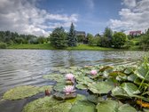 Parduodamas sodo namas Drąseikiuose. - nuotraukos Nr. 14