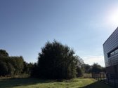 Parduodamas sklypas Kaune, Vaišvydavoje. - nuotraukos Nr. 4