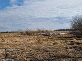 Sklypai šalia Nevėžio upės, liko 5 sklypai. - nuotraukos Nr. 3
